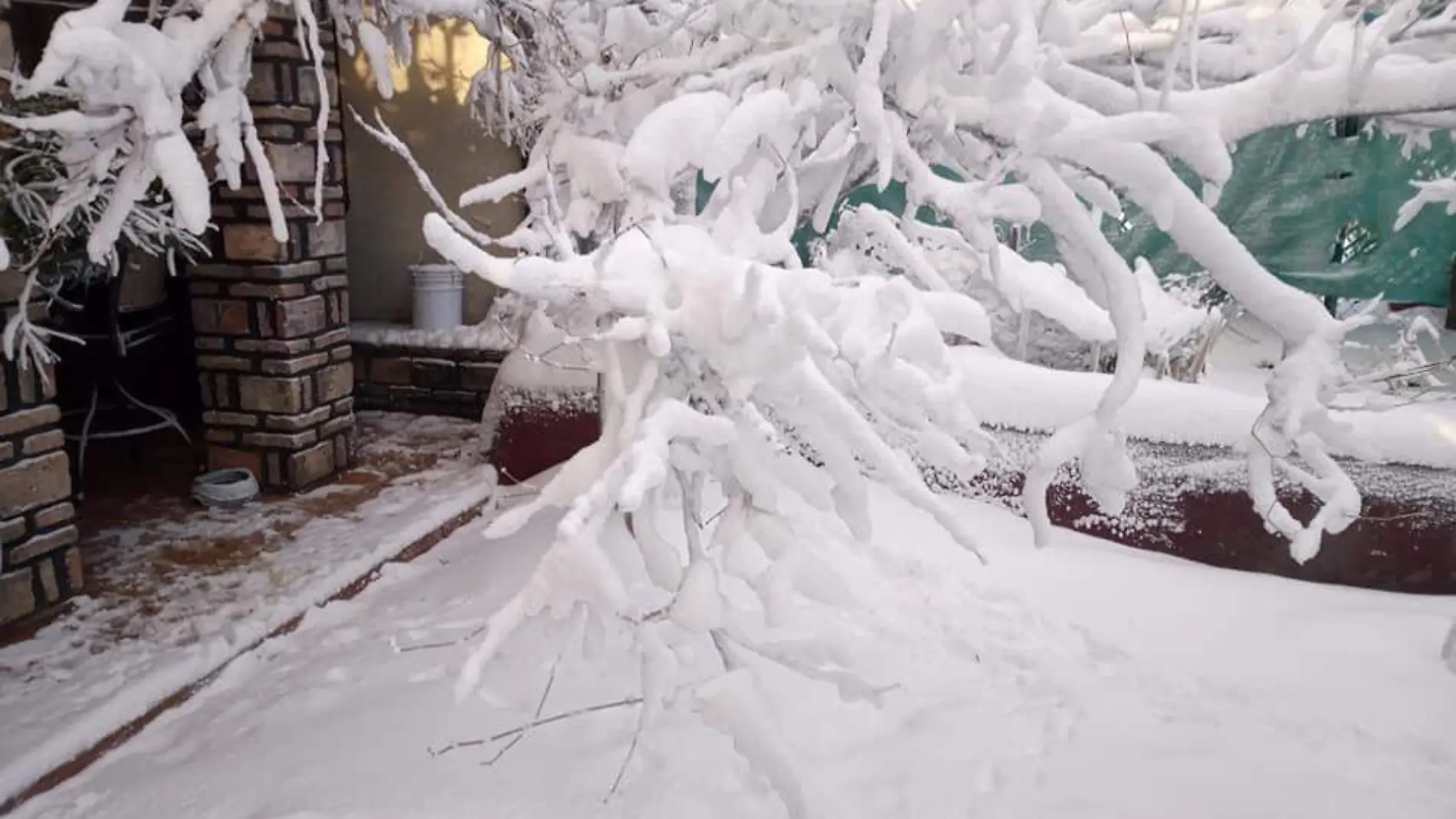 “Hacía años que no caía tal cantidad de nieve”